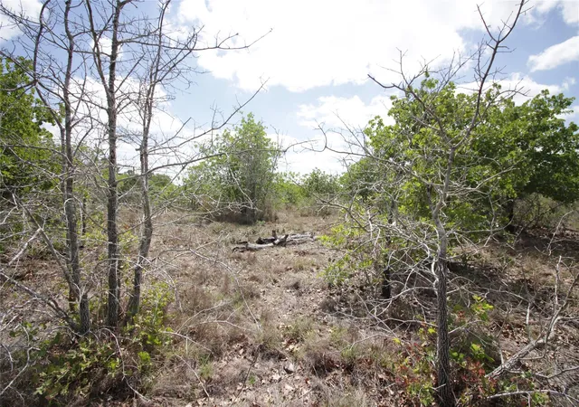 3rd image of Tbd River Forest Dr, Bastrop, TX 78602 | MLS# 1843960