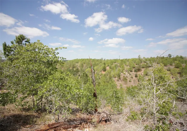 4th image of Tbd River Forest Dr, Bastrop, TX 78602 | MLS# 1843960