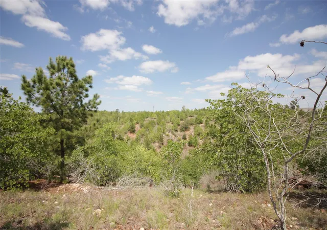 5th image of Tbd River Forest Dr, Bastrop, TX 78602 | MLS# 1843960