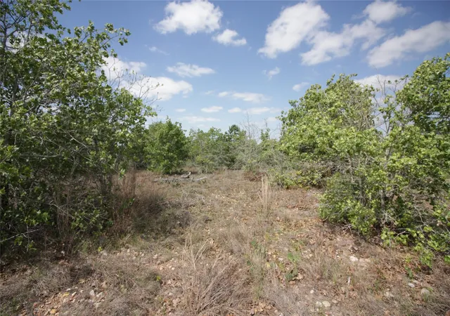 10th image of Tbd River Forest Dr, Bastrop, TX 78602 | MLS# 1843960