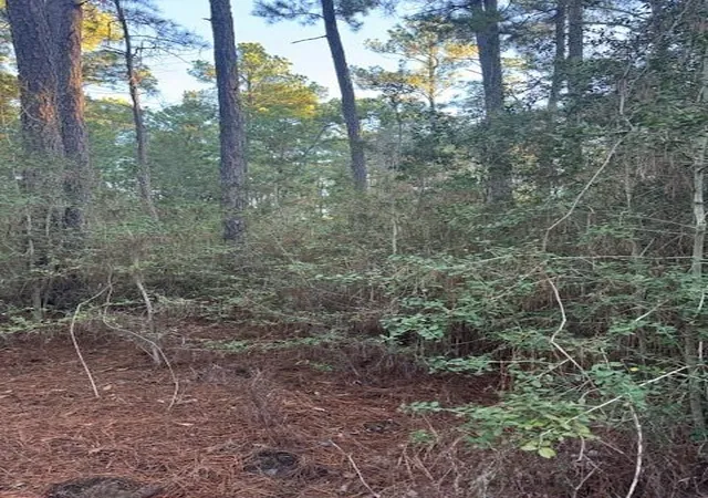 Photo 3 of Land for sale at 103 Lake Point Way, Bastrop, TX 78602 | MLS# 8829139 | Listing updated on 2026-04-01