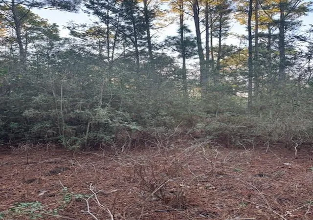 Photo 3 of Land for sale at 103 Lake Point Way, Bastrop, TX 78602 | MLS# 8829139 | Listing updated on 2026-04-01