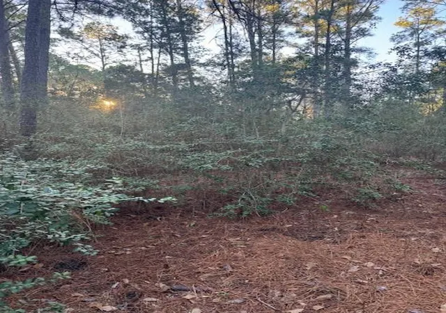Photo 4 of Land for sale at 103 Lake Point Way, Bastrop, TX 78602 | MLS# 8829139 | Listing updated on 2026-04-01