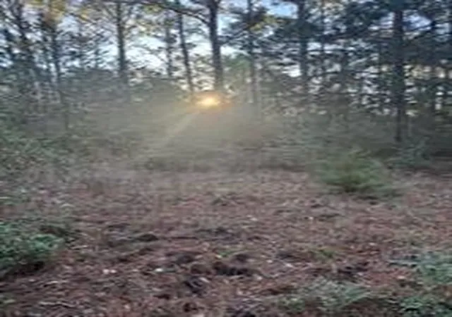 Photo 3 of Land for sale at 107 Lake Point Way, Bastrop, TX 78602 | MLS# 9069801 | Listing updated on 2026-04-01