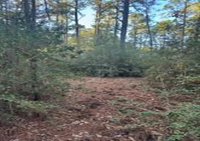 Photo 3 of Land for sale at 107 Lake Point Way, Bastrop, TX 78602 | MLS# 9069801 | Listing updated on 2026-04-01