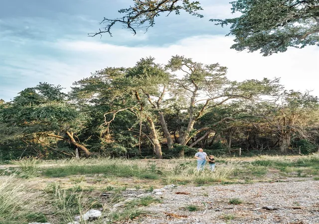 Photo 3 of Land for sale at 17650 A Hamilton Pool Rd, Austin, TX 78738 | MLS# 9723722 | Listing updated on 2026-08-25