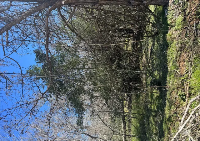 Photo 3 of Land for sale at Lot 321 Kolekole Ln, Bastrop, TX 78602 | MLS# 4478002 | Listing updated on 2026-10-10