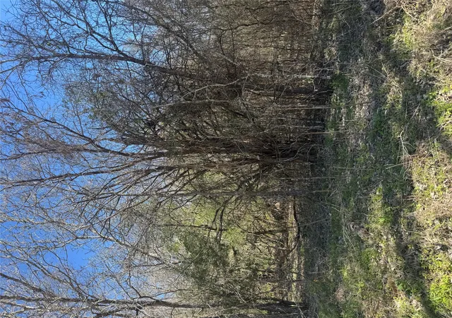 Photo 4 of Land for sale at Lot 321 Kolekole Ln, Bastrop, TX 78602 | MLS# 4478002 | Listing updated on 2026-10-10