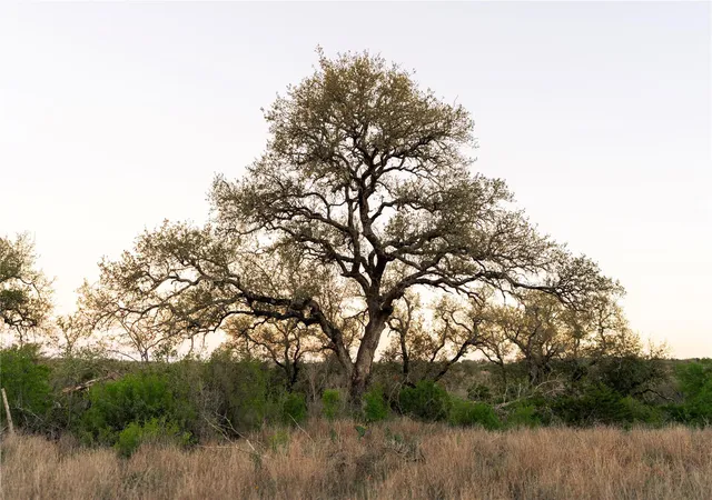 1st image of 1901 Oak Grove Rd, San Marcos, TX 78666 | MLS# 9802629