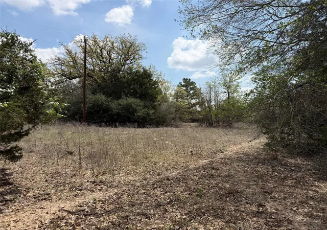2nd image of 118 Edmonson Ranch Rd, Mc Dade, TX 78650 | MLS# 4650541