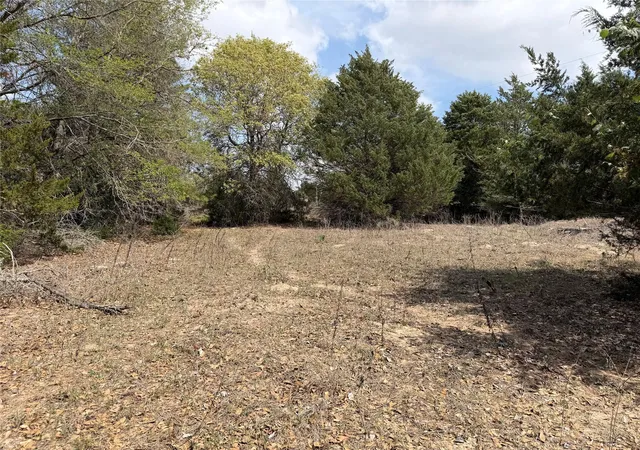 3rd image of 118 Edmonson Ranch Rd, Mc Dade, TX 78650 | MLS# 4650541