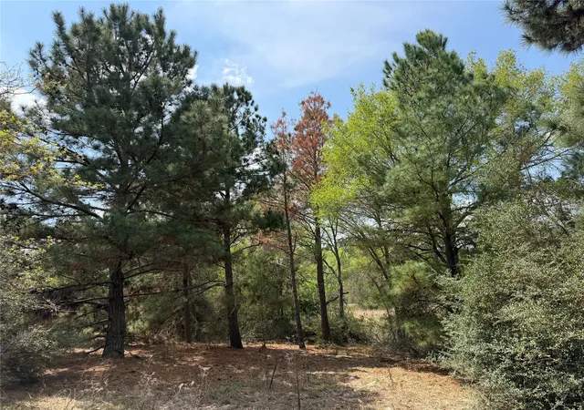 4th image of 118 Edmonson Ranch Rd, Mc Dade, TX 78650 | MLS# 4650541