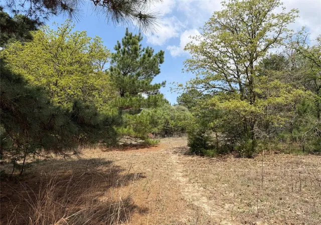 5th image of 118 Edmonson Ranch Rd, Mc Dade, TX 78650 | MLS# 4650541