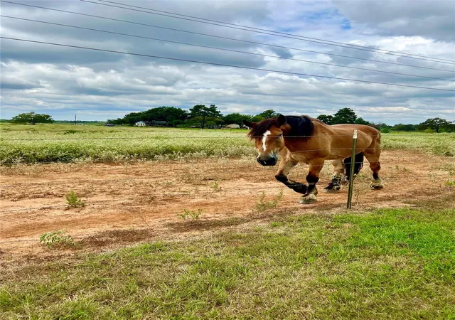 2nd image of 1286 County Road 446, Rockdale, TX 76567 | MLS# 5889161