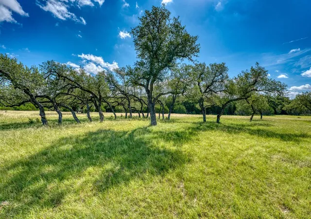 Photo 3 of Land for sale at Tbd Mr Charlie Ln, Round Mountain, TX 78663 | MLS# 5849087 | Listing updated on 2026-08-18