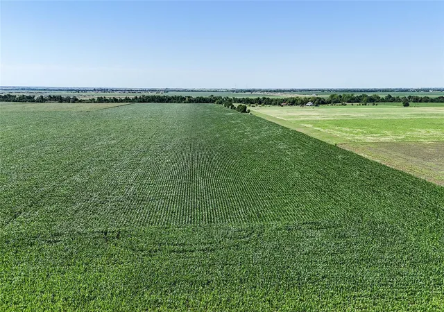 5th image of 0 County Road 405, Taylor, TX 76574 | MLS# 2905515
