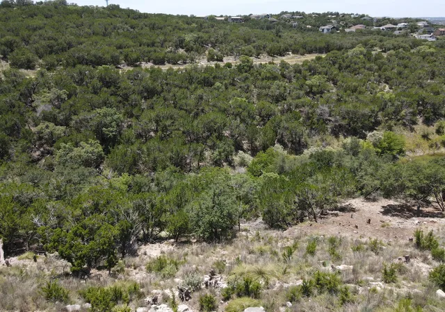3rd image of 18816 Silver Maple Dr, Lago Vista, TX 78645 | MLS# 4710353