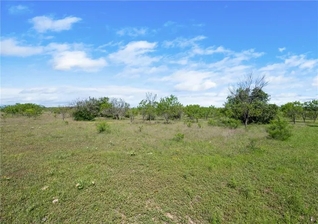 3rd image of Tbd County Road 236, Liberty Hill, TX 78605 | MLS# 9319588