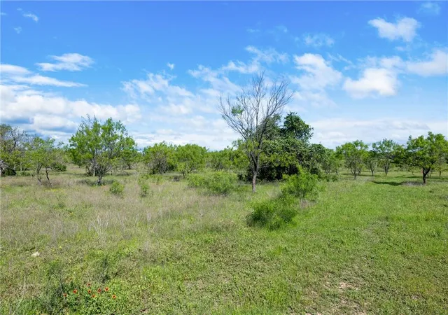 4th image of Tbd County Road 236, Liberty Hill, TX 78605 | MLS# 9319588