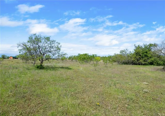 5th image of Tbd County Road 236, Liberty Hill, TX 78605 | MLS# 9319588