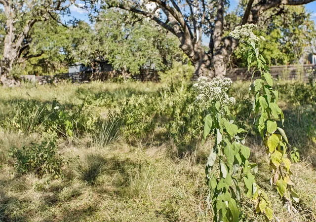 Photo 3 of Land for sale at 1314 Greenlawn Pkwy, Blanco, TX 78606 | MLS# 1811192 | Listing updated on 2026-08-03