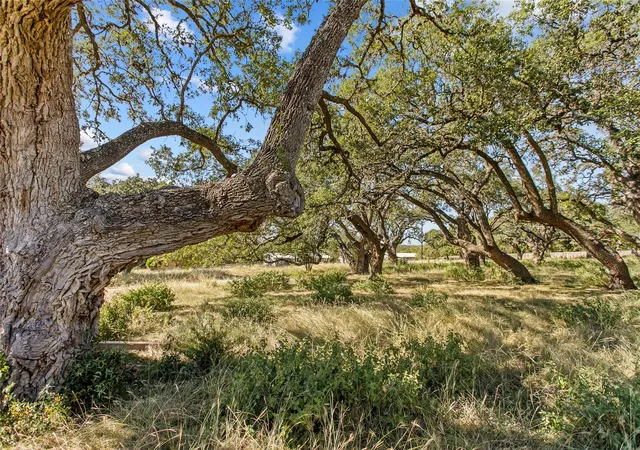 Photo 2 of Land for sale at 1316 Greenlawn Pkwy, Blanco, TX 78606 | MLS# 3289057 | Listing updated on 2026-08-03