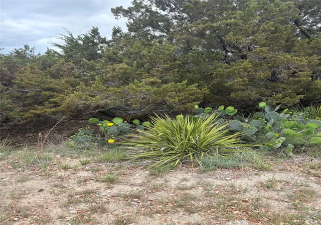 3rd image of 20905 Magellan Cv, Lago Vista, TX 78645 | MLS# 6675308