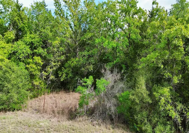 Homes for sale in Ledbetter, TX | Tbd Tract 2 Fm 180, Ledbetter, TX 78946 | MLS# 2095545