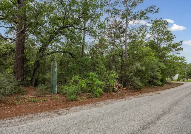 4th image of Tbd Commanche Dr, Smithville, TX 78957 | MLS# 9000712