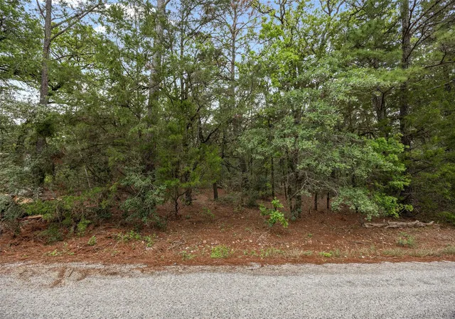 5th image of Tbd Commanche Dr, Smithville, TX 78957 | MLS# 9000712