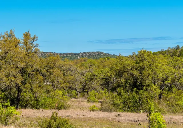 31st image of 125 Acres Pump Station Rd, Wimberley, TX 78676 | MLS# 8366256