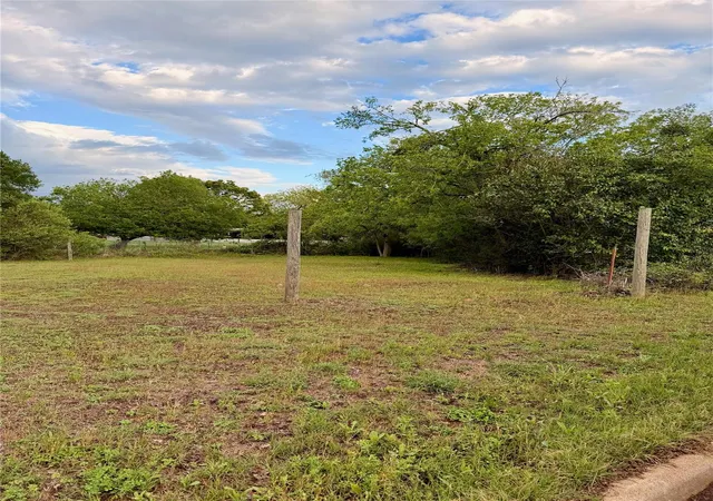 Homes for sale in Elgin, TX | Tbd Carver St, Elgin, TX 78621 | MLS# 7539559