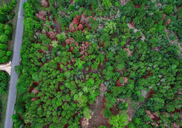 Photo 1 of Land for sale at 453 Kelley Rd, Bastrop, TX 78602 | MLS# 9112119 | Listing updated on 2026-07-14