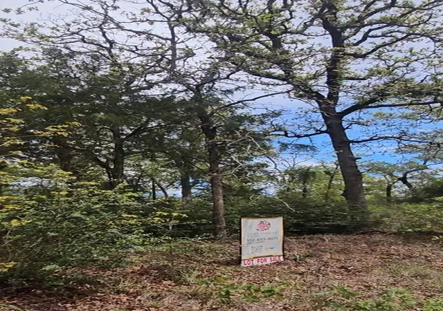 Photo 1 of Land for sale at Tbd Co Rd 308, Caldwell, TX 77836 | MLS# 5472231 | Listing updated on 2026-07-28