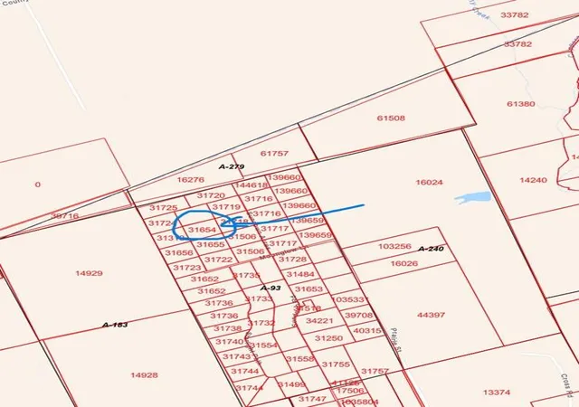 Photo 3 of Land for sale at Tbd Co Rd 308, Caldwell, TX 77836 | MLS# 5472231 | Listing updated on 2026-07-28