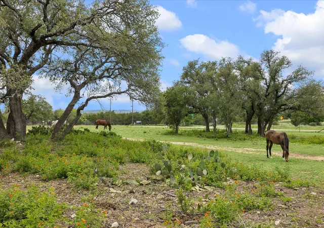 Photo 1 of Land for sale at 6411 W Fitzhugh Rd, Dripping Springs, TX 78620 | MLS# 1957249 | Listing updated on 2026-07-06