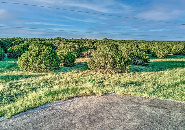 Photo 4 of Land for sale at Lot 49 Long View Dr, Lampasas, TX 76550 | MLS# 8013004 | Listing updated on 2026-04-16