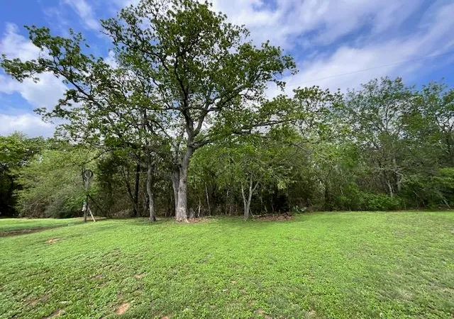 3rd image of 117 Allison Cv, Elgin, TX 78621 | MLS# 8005910