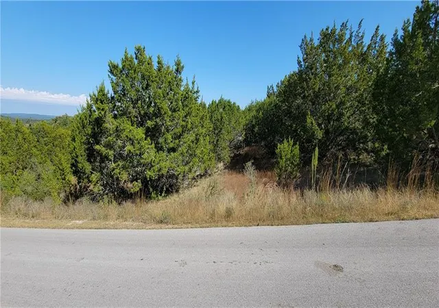 Homes for sale in Spicewood, TX | 22317 Briarcliff Dr, Spicewood, TX 78669 | MLS# 3898141