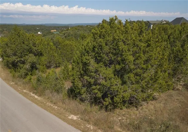 Homes for sale in Spicewood, TX | 22317 Briarcliff Dr, Spicewood, TX 78669 | MLS# 3898141