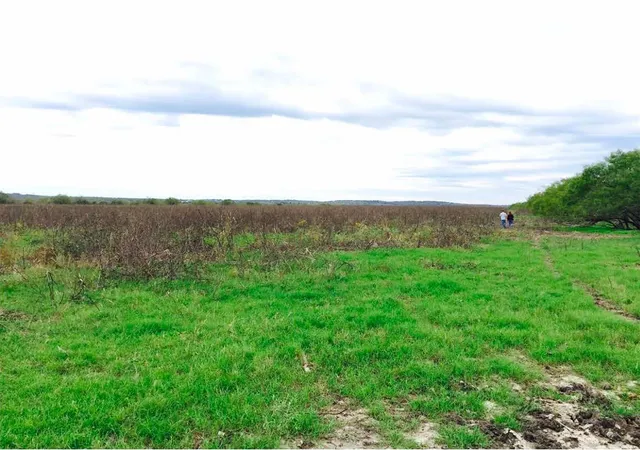 Photo 2 of Land for sale at 16001 Richards Dr, Del Valle, TX 78617 | MLS# 7718877 | Listing updated on 2026-04-17