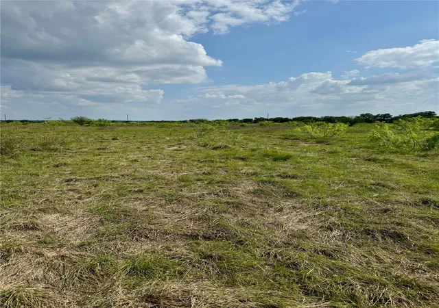 4th image of Tbd Lot 14 Cr 473, Thrall, TX 76578 | MLS# 3332304