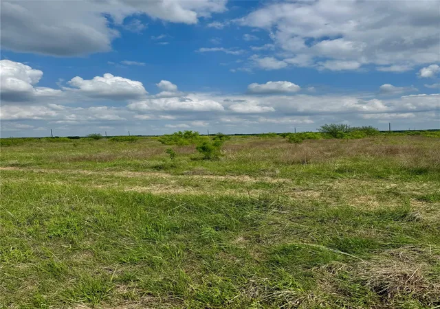 5th image of Tbd Lot 14 Cr 473, Thrall, TX 76578 | MLS# 3332304