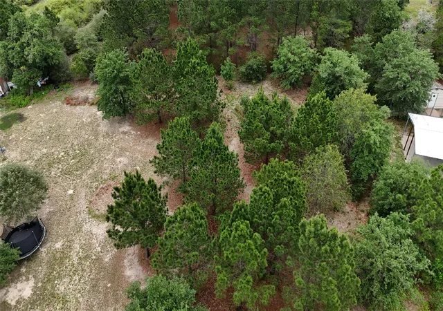 2nd image of Tbd Buckhorn Dr, Bastrop, TX 78602 | MLS# 9968915