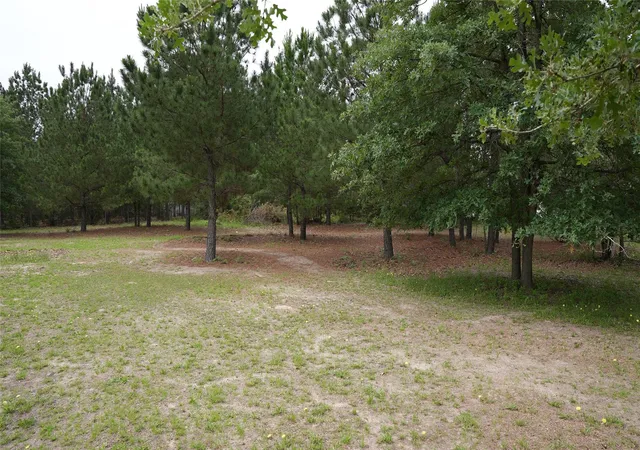 5th image of Tbd Buckhorn Dr, Bastrop, TX 78602 | MLS# 9968915