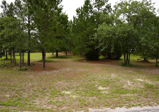 8th image of Tbd Buckhorn Dr, Bastrop, TX 78602 | MLS# 9968915