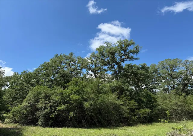 15th image of 1749 Fm 535, Smithville, TX 78957 | MLS# 8855962