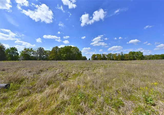 Photo 4 of House for sale at Tbd Legacy Rd (104 Acres), Caldwell, TX 77836 | MLS# 8796735 | Listing updated on 2026-04-23