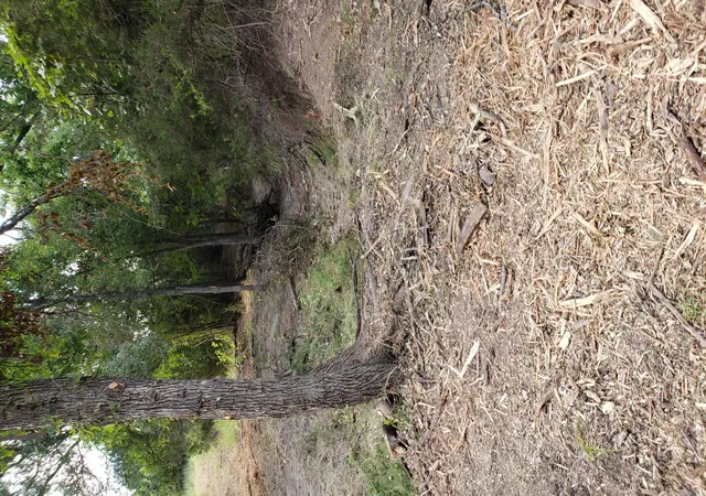 Homes for sale in Lampasas, TX | Lot 44 County Road 3640, Lampasas, TX 76522 | MLS# 6601661