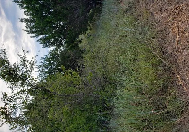 Photo 3 of Land for sale at Lot 44 County Rd 3640, Lampasas, TX 76522 | MLS# 6601661 | Listing updated on 2026-06-24